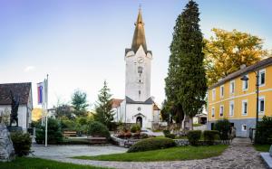 Župnijska cerkev Marijinega vnebovzetja_(Arhiv Občine Kozje)_2